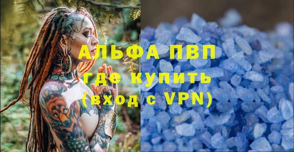 СК Новодвинск