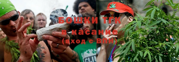 СК Новодвинск