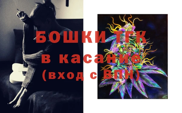 СК Новодвинск