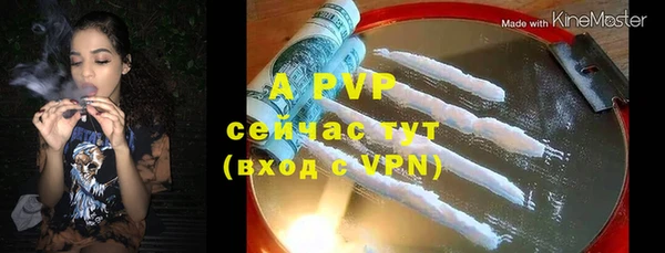 СК Новодвинск