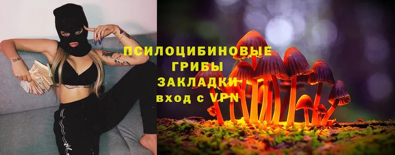 omg сайт  Лениногорск  Галлюциногенные грибы Psilocybine cubensis 