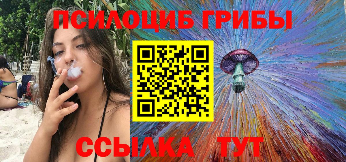 Галлюциногенные грибы MAGIC MUSHROOMS  Псилоцибиновые грибы GOLDEN TEACHER  магазин    Вход с VPN  Лениногорск 