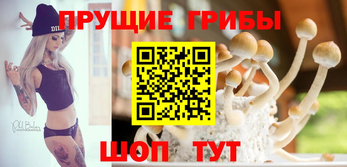 Псилоцибиновые грибы GOLDEN TEACHER Лениногорск
